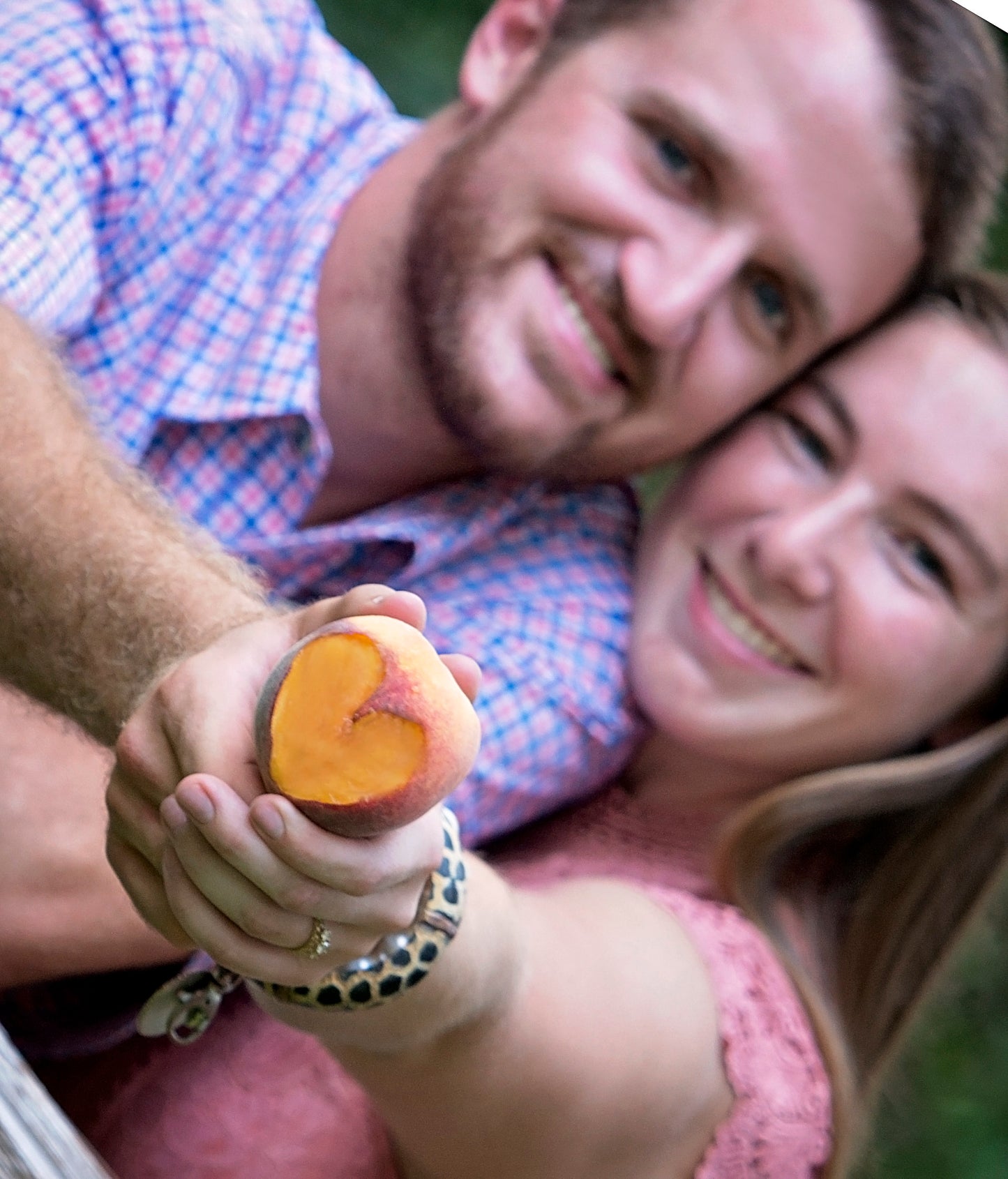 Sweet Georgia Peaches - 4 Week Subscription - Includes Delivery