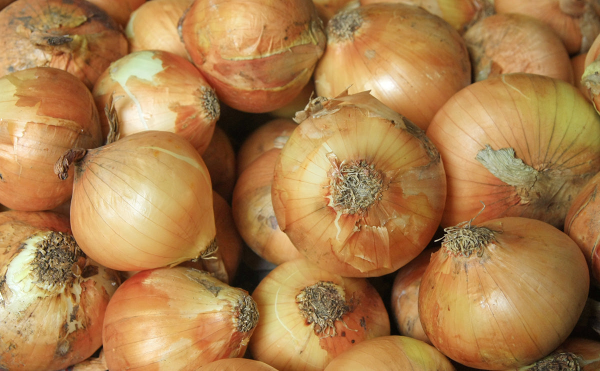 10 lb. bag of Vidalia Onions - Includes Shipping