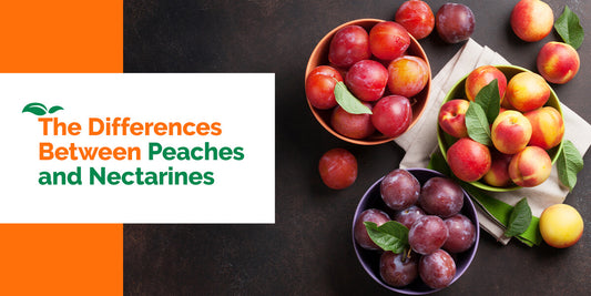 The Differences Between Peaches and Nectarines