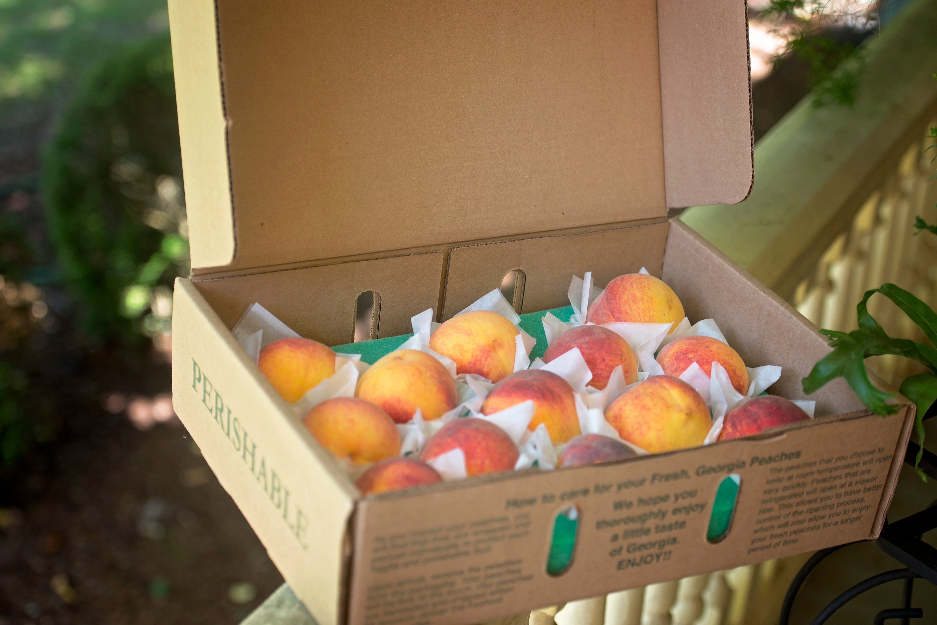 Georgia Peach Products | Shop Fresh Peach Products – Lane Southern