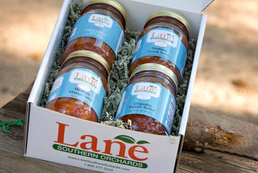 Sassy Salsa Gift Box - Price Includes 2-day Delivery