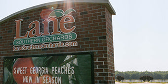 Lane Southern Orchards photo 9
