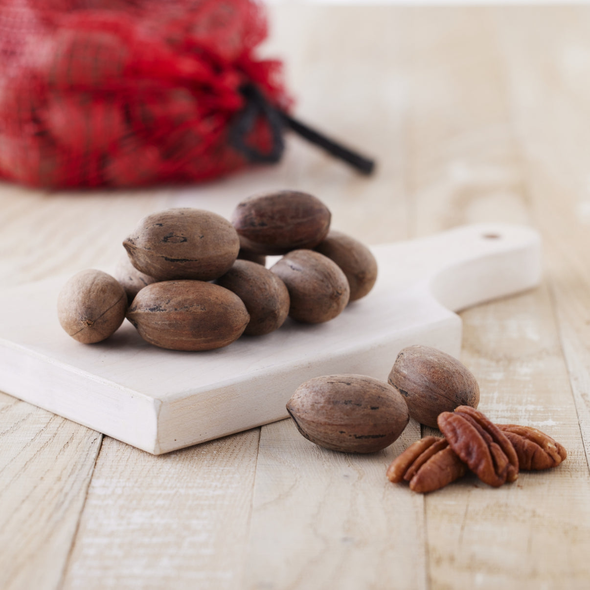 5 lb. Bag Of InShell Pecans Purchase Bulk Pecans Lane Southern